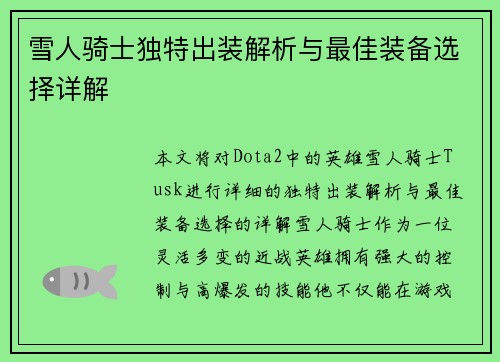 雪人骑士独特出装解析与最佳装备选择详解